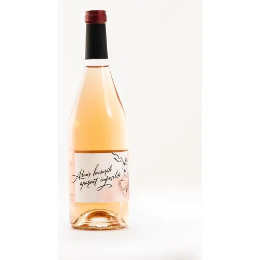 Vin Rose Minis Terrios, sec