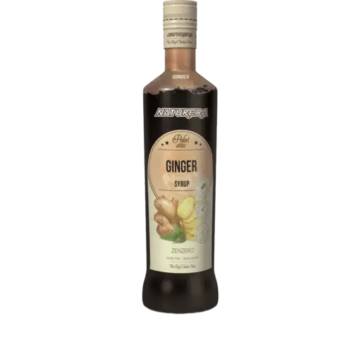 Polot 1882 Ginger Syrup