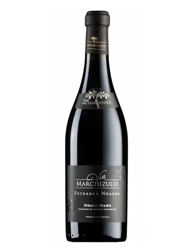 Viile Metamorfosis via marchizului feteasca neagra